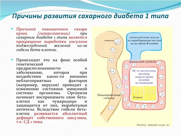 Почему сахарный диабет возникает Почему сахарный диабет возникает